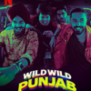 Wild Wild Punjab 2024 Hindi HD